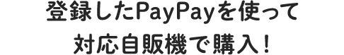 o^PayPaygđΉ̋@ōwI