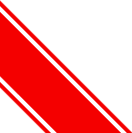 ���{���̑���