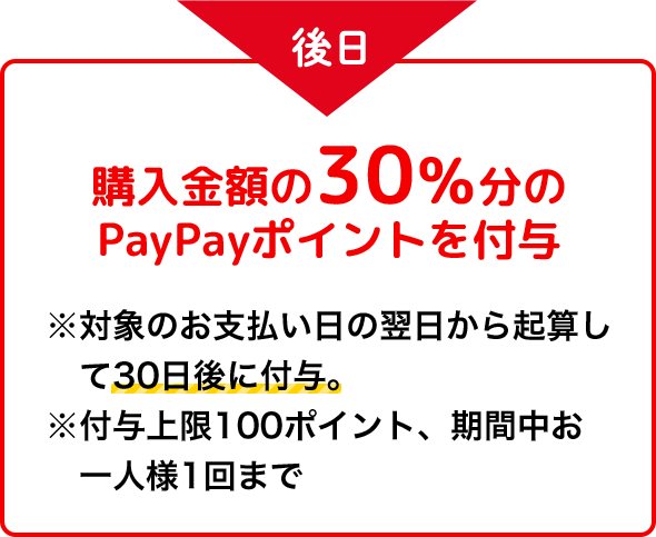  wz30 PayPay|Cgt^ Ώۂ̂x̗NZ30ɕt^B t^100|CgAԒll1܂